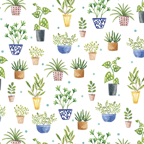 FROGS & FRONDS           